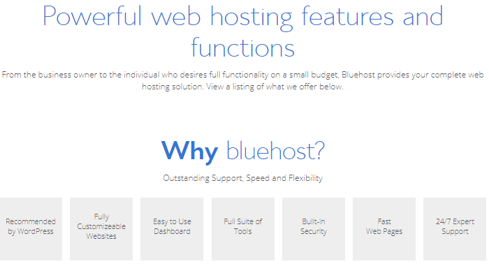 Bluehost Hosting Features