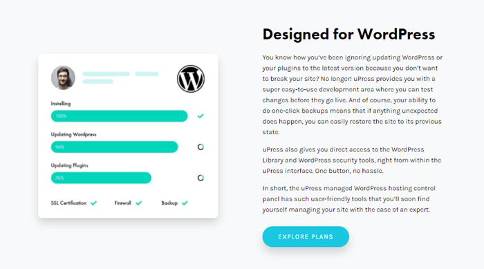 designied for WordPress